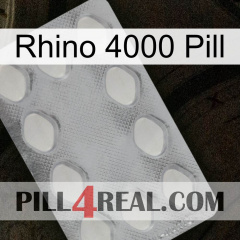 Rhino 4000 Pill 16